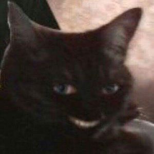 Meet your Posher, Chad